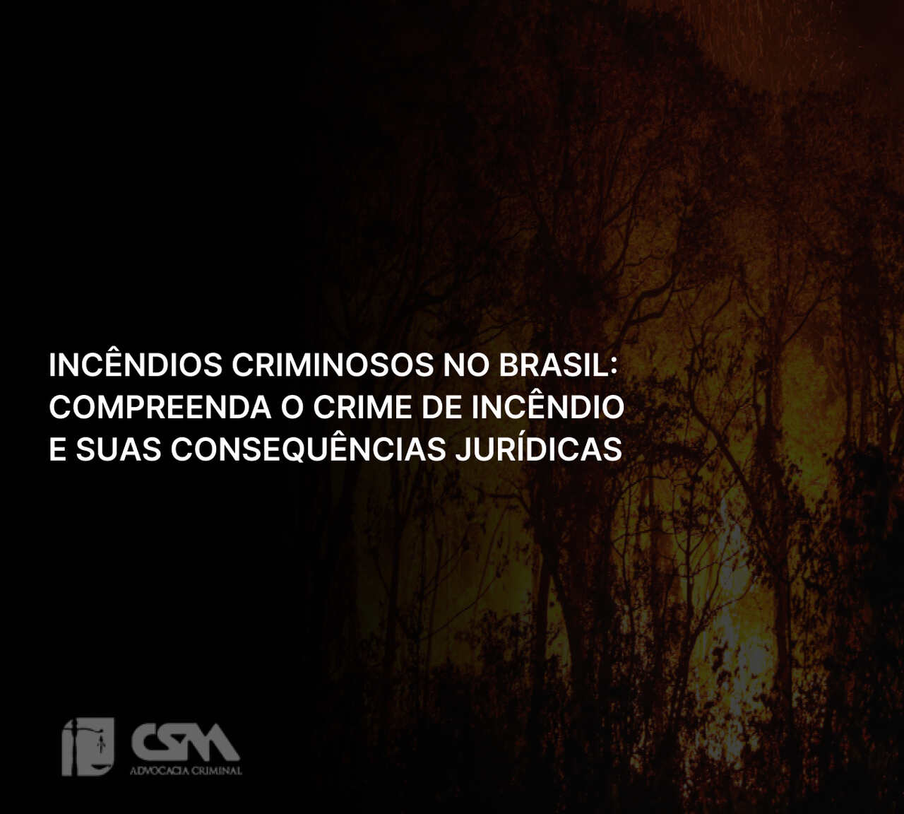 Incêndios Criminosos no Brasil_ Compreenda o Crime de Incêndio e Suas Consequências Jurídicas_Easy-Resize.com